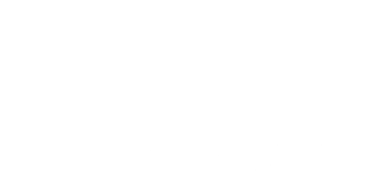 Provider's logo